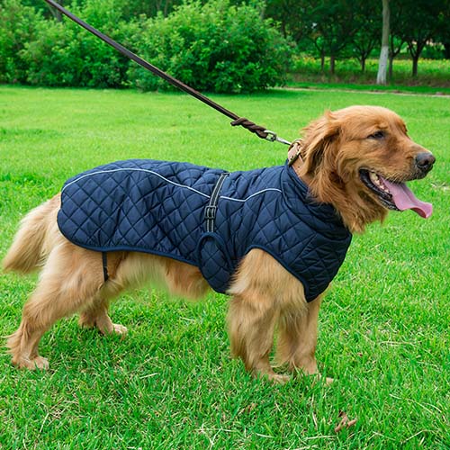 Pet Winter Coat Large Dog Warm Jackets
