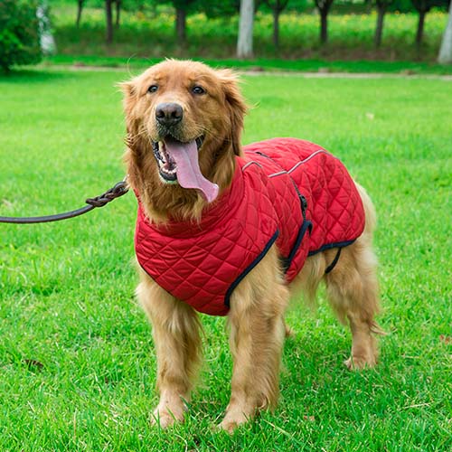 Pet Winter Coat Large Dog Warm Jackets
