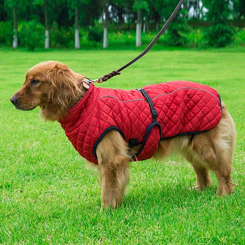 Pet Winter Coat Large Dog Warm Jackets