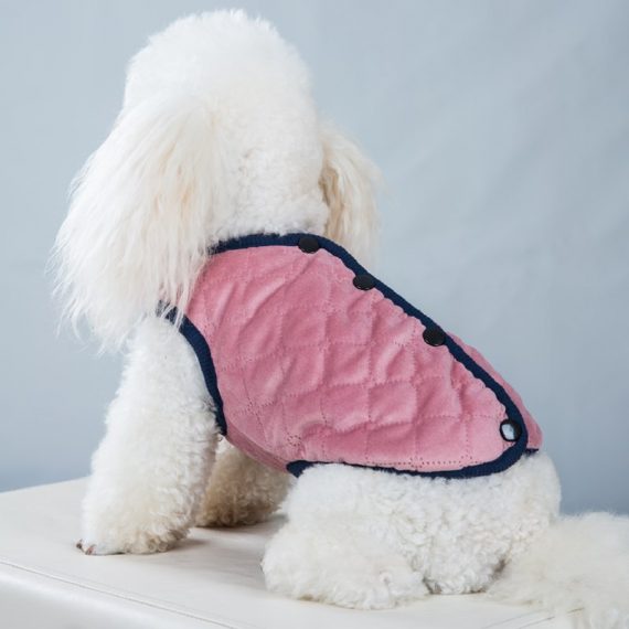 Dog Winter Coat Cute Pet Jackets
