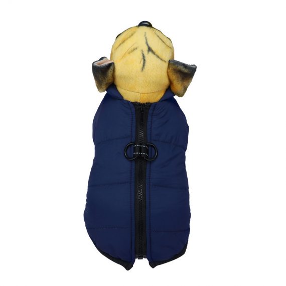 Blue Dog Winter Clothes