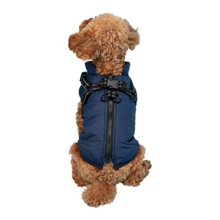 Blue Dog Winter Clothes