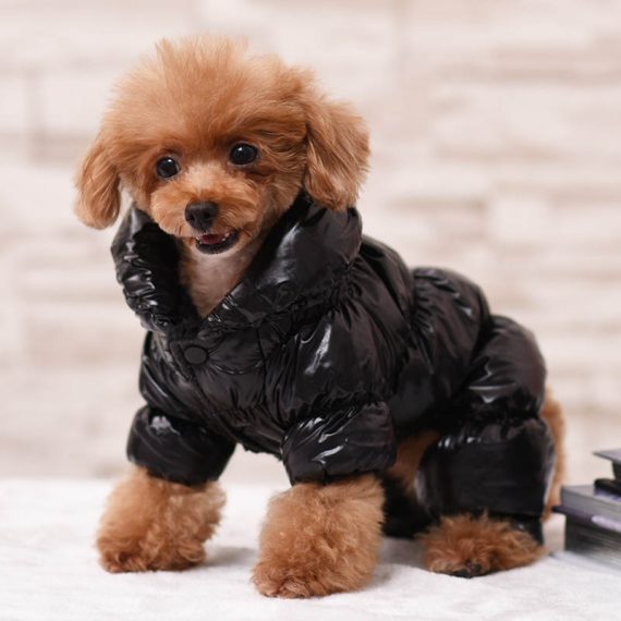 Dog Coats With Legs For Winter