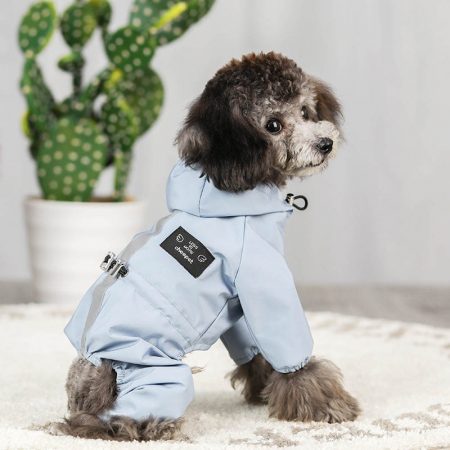 dog41 (4)