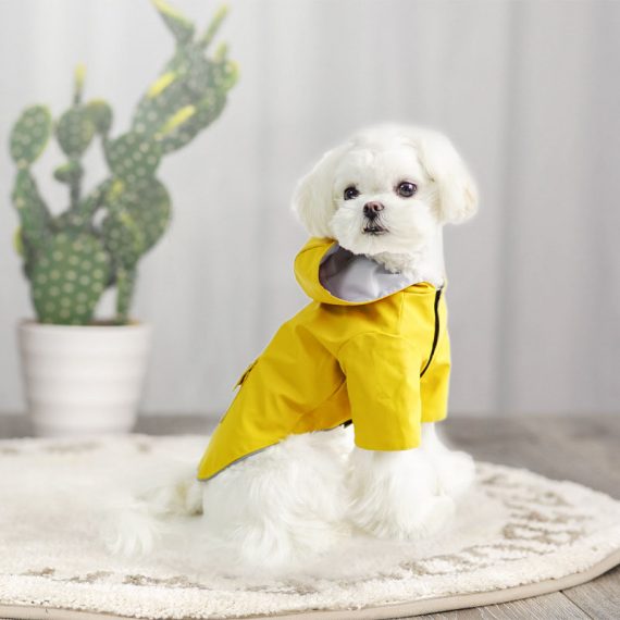Pet Raincoat Winter Coat For Dog
