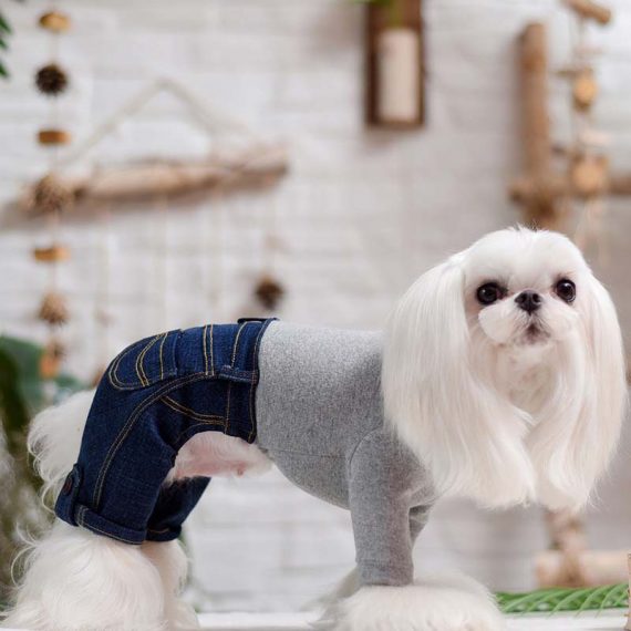 Pet Winter Coat Dog Jumpsuit