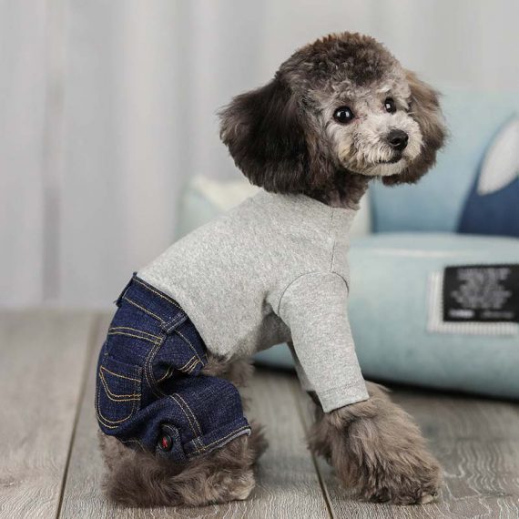 Pet Winter Coat Dog Jumpsuit