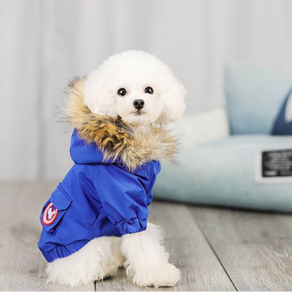 Dog and Cat Winter Coat