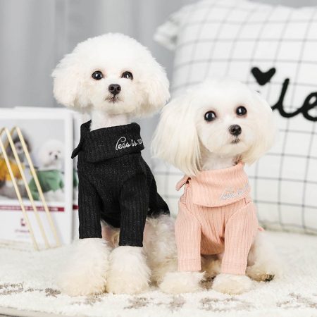 Dog and Cat Two Legs Winter Coat