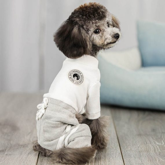 Dog and Cat Four Legs Winter Sweatshirt