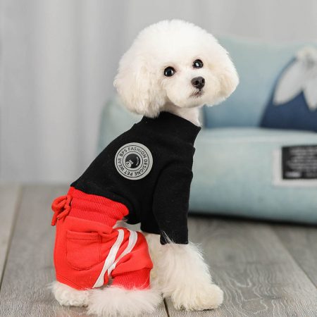 Dog and Cat Four Legs Winter Sweatshirt