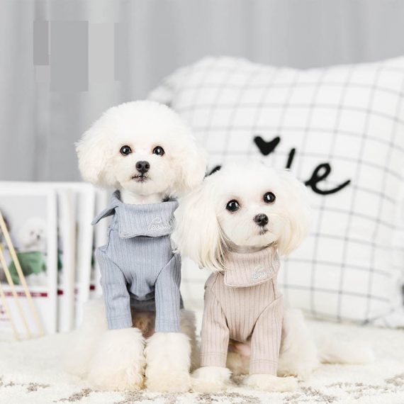 Two Legs Winter Coat Warm Dog Clothes