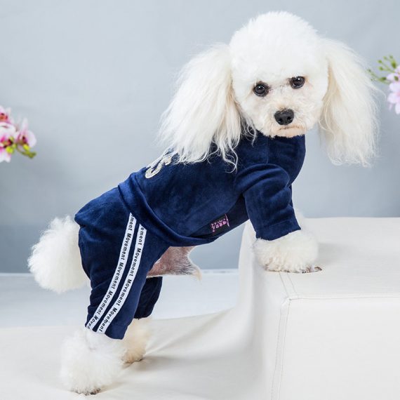 Small Dog Winter Clothes Pet Warm Coat