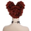 Mary Sanderson Wig