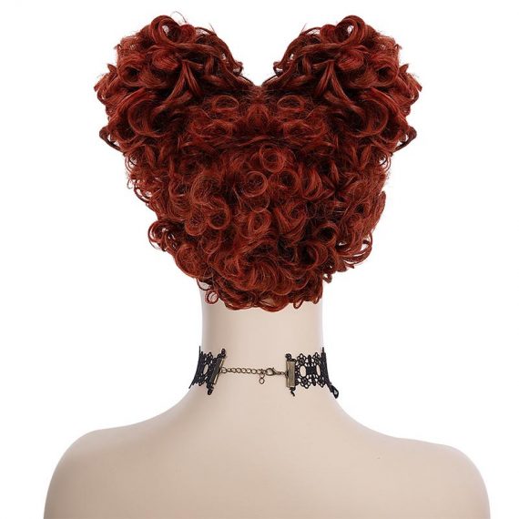 Mary Sanderson Wig