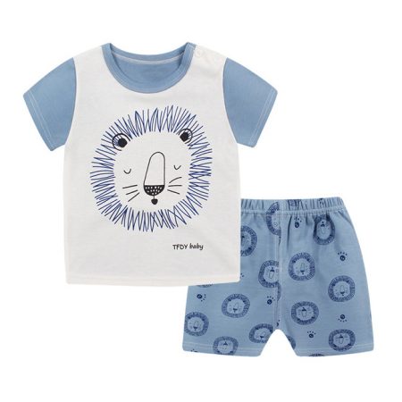 Cute Lion T Shirt Set For Girls
