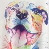 Colorful Print Tops Dog T Shirts For Women