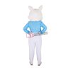 Adult Plus Size Funny Easter Bunny Costume