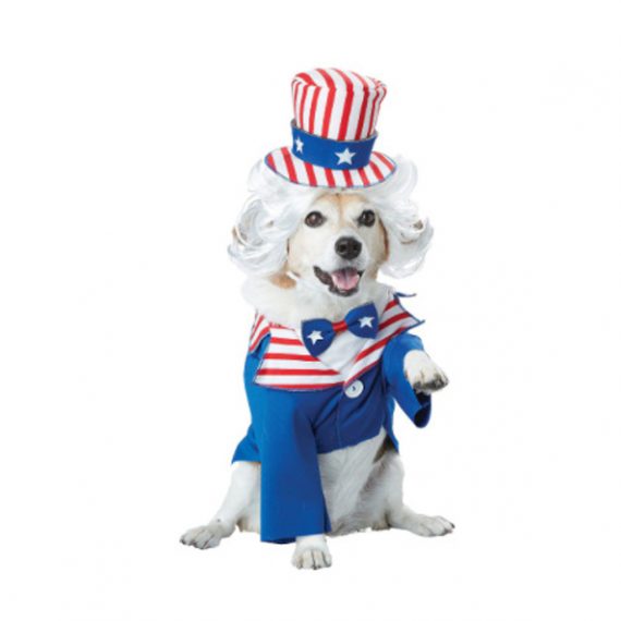 Blue Uncle Sam Dog Costumes