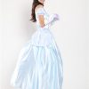 Princess Costumes Adult Fairy Tale Women Blue Dress