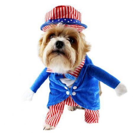 Cute Uncle Sam Dog Costumes