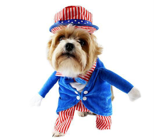 Cute Uncle Sam Dog Costumes