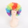 Adult Rainbow Clown Wig