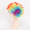 Adult Rainbow Clown Wig