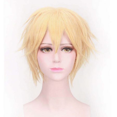 Adrien Agreste Golden Wig