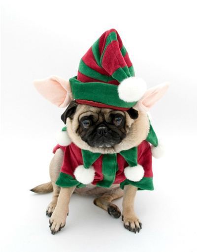 Christmas Dog Costumes Elf Outfit