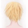 Adrien Agreste Golden Wig