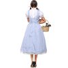 Womens Wizard Of Oz Dorothy Costume