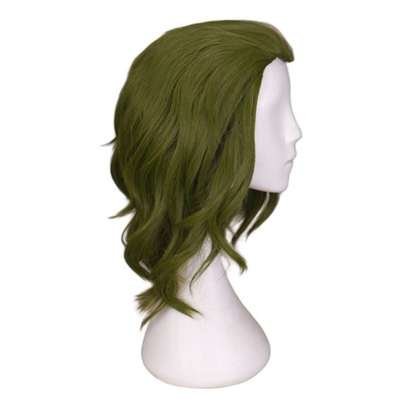 Adult Green Joker Wig