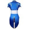 Adult Street Fighter Chun Li Costume
