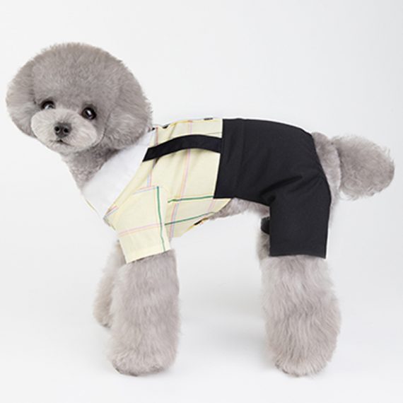 Cute Pet Couple Outfit Dog Costume