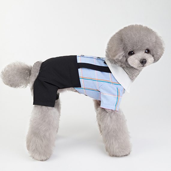 Cute Pet Couple Outfit Dog Costume