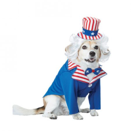 Halloween Uncle Sam Outfit Dog Costume