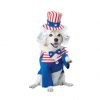 Halloween Uncle Sam Outfit Dog Costume