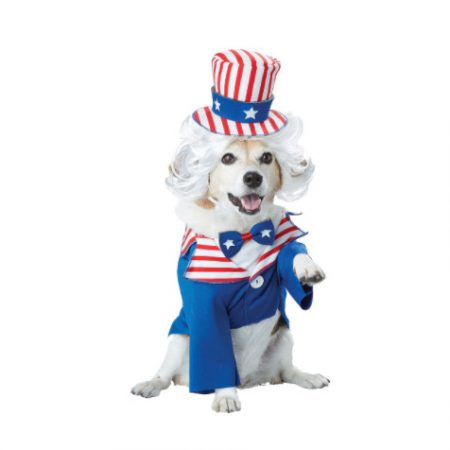 dog12 (2)