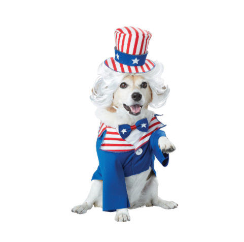 Halloween Uncle Sam Outfit Dog Costume