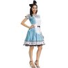 Adult Cat Maid Costumes Women Cosplay Suit