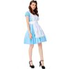 Adult Sweet Maid Halloween Costumes For Women