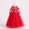 Princess Red Costumes Dress Outfit For Girls