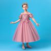 Pink Princess Costumes Girls Dress