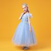 Princess Sky Blue Costumes Dress Outfit