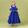 Princess Blue Costumes Dress Outfit