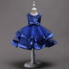 Girls Princess Blue Costumes Dress