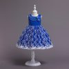 Princess Dress Girls Blue Costumes Outfit