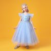 Princess Sky Blue Costumes Dress Outfit