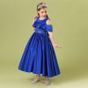 Princess Blue Costumes Dress Outfit